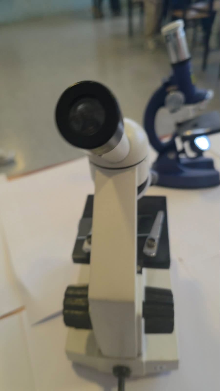 Fotografi nga aktiviteti